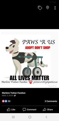 We are an independent rescue based in Ontario, Canada helping special need dogs, and those left on death row in southern kill shelters.
https://t.co/YHcNFL1IQ7
