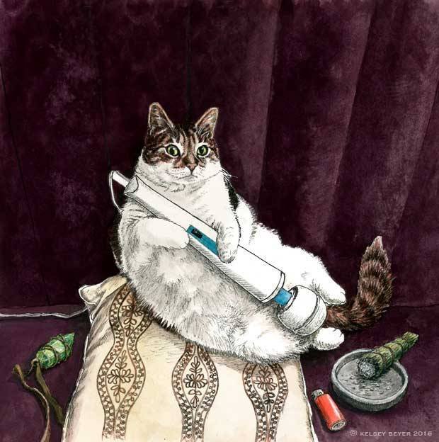 dani_limbo's profile picture. If you want to think outside the box, you want to know how the box was made.