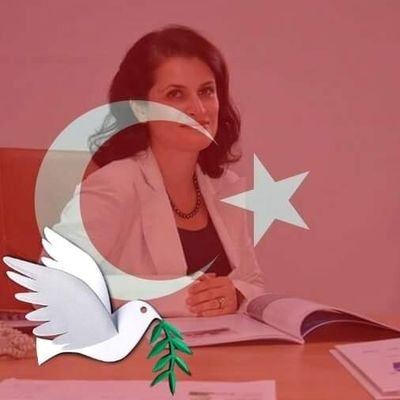 ilkcanturk's profile picture. AAG Makina ve PAKKOM A.Ş. Yönetim Kurulu Üyesi,Makina İmalatçıları Birliği YK,TOBB  İstabul Genç Girişimciler K. İcra Üyesi,TOBB İKGK Üyesi,Hayata Dokun Derneği