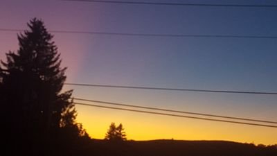 spaghettilove17's profile picture. 😊