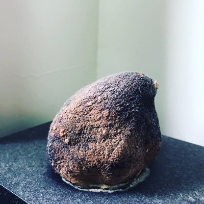 RDdenazPNKbRulh's profile picture. Hi