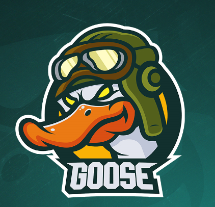 The Names Goose || Media Member || Twitch Affiliate || Designs made by @thebattletr & @RamiroDesigns ||