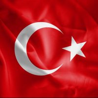 Erdal 🟢 🇹🇷 (@erdalbcc) 's Twitter Profile