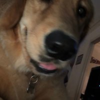 Ben (@_bennyd_) 's Twitter Profile
