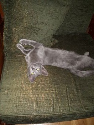 DraganaVuk1's profile picture. Life is too short to wake up with regrets!