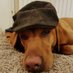 eyorrs (@eyorrs1) Twitter profile photo eyorrs (@eyorrs1) Twitter profile photo