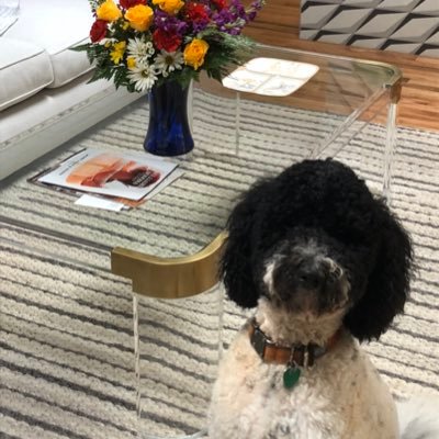 BoltJensen's profile picture. Husband, Father, dog lover, feral cat liker. “Runner”. Live for travel and my vacations. Noles and Chargers super fan, although it’s been tough lately.