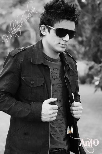 Picture