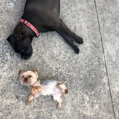 jrcoger's profile picture. Foot and Ankle Surgeon