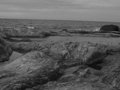 jonasshares's profile picture. A simple man- trying to get better at everything.