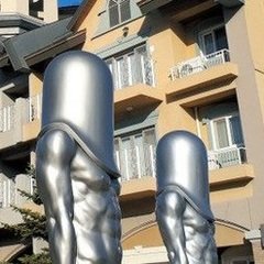 金英柱さんのプロフィール画像