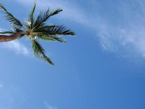 海底下に興味を持つ脱サラ系出戻り巨漢研究員。水曜どうでしょう・ラジオ・スカパラ・お酒をこよなく愛する。宮崎県日向市生まれ、静岡県清水育ち、今はつくばの民。No Beer! No Life!