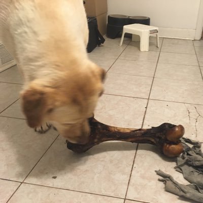 SpenThom's profile picture. libertarianism, psychology, skepticism, sports, poker, technology