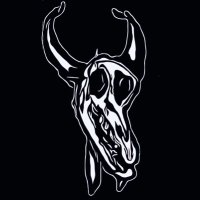 YAK. (@yaknoise) 's Twitter Profile