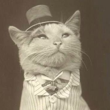 DavidTheNative's profile picture. 