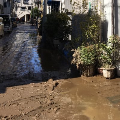 令和元年台風19号による、神奈川県川崎市 上丸子山王町(武蔵小杉)の被害報告です。