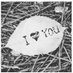 Love You (@loveyou28875133) Twitter profile photo Love You (@loveyou28875133) Twitter profile photo