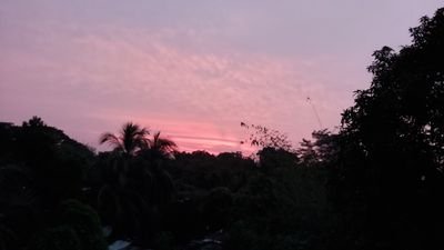 dipty777gmailc1's profile picture. I am a very ordinary human being