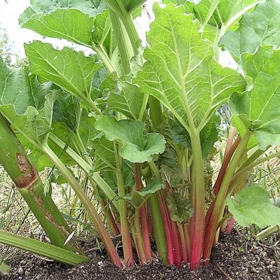 fyF6SMppGuiHSVw's profile picture. 昭和の絵を描く人です。