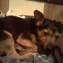 Eddie Atkinson - @andapuppy - Twitter