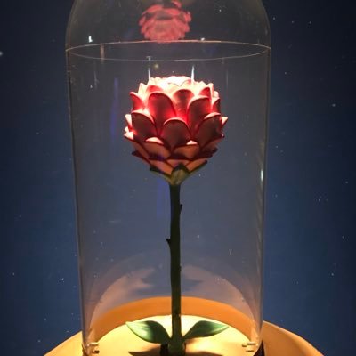 ころすけ