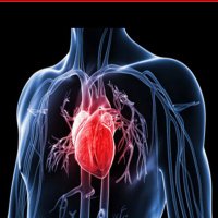 International Journal of Cardiovascular Research (@interna70427267) 's Twitter Profile