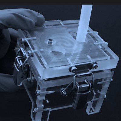 Human Gut-on-chip model for microbiome-host interactions studies to better understand the effect of diet and therapeutics on health and disease state 🔬💊🧫