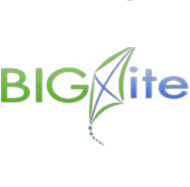 @bigkiteconsult