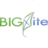 BigKite Consulting
