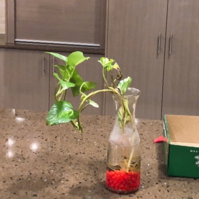 ivar6691's profile picture. 