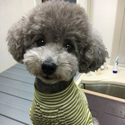 元気