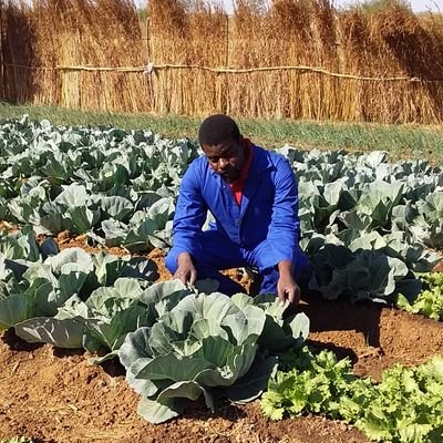 katema04's profile picture. Agricultural Economist, Farmer