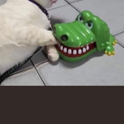 etopenpen35's profile picture. むずかしい