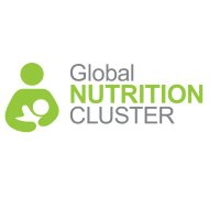 Global Nutrition Cluster(@GNCGENEVA) 's Twitter Profile Photo