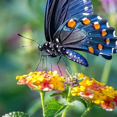 Yogesh963812136's profile picture. 