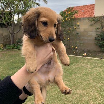 carlmustane1's profile picture. go pack