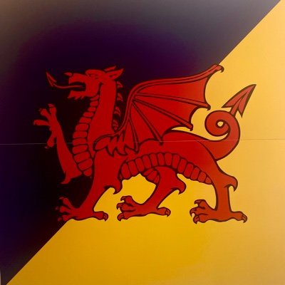 Official Twitter feed of the Commanding Officer of 157(Welsh) Regiment RLC