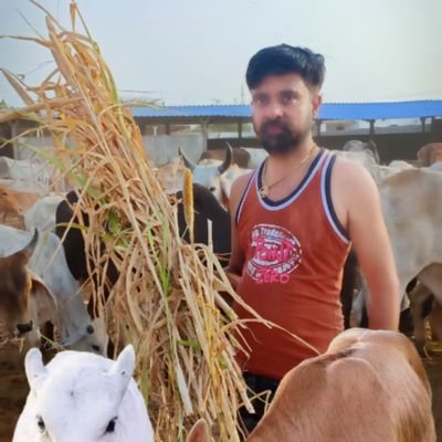 Chandre83288862's profile picture. chandres soni dharam