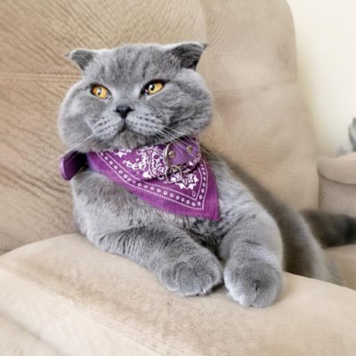 noudah26's profile picture. 