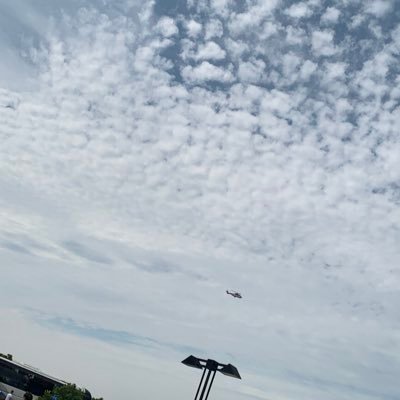 hongnelly1's profile picture. Be kindly!