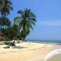 Abpramudita (@abpramudita) 's Twitter Profile