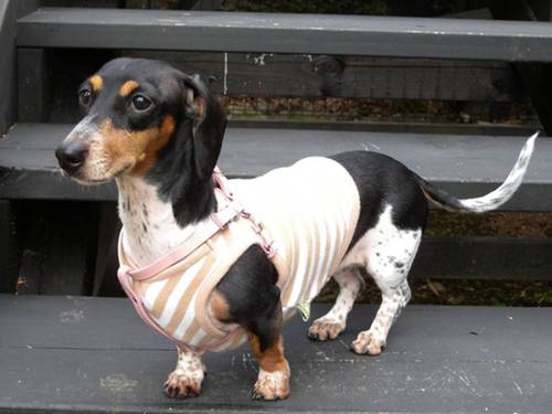 babonxmt's profile picture. 大学、呼吸中枢大好き（何ジャソレ？）、明るい性格だよ！趣味：音楽（Heavy Metal),Fly fishing,Tennisなどなど、ヒゲあり　