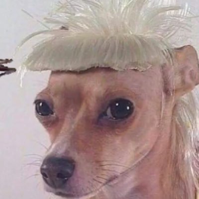 flymiamibro22_'s profile picture. 100% biodegradable