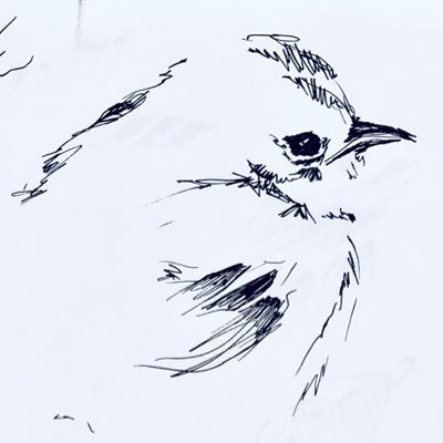 TarynSirove's profile picture. Academic copy editor, art historian, settler, she/her. Author of Ruling Out Art: Media Art Meets Law in Ontario's Censor Wars.