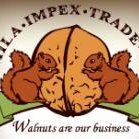 SIMILA IMPEX TRADE (@similaquality) 's Twitter Profile