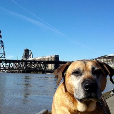 shauna_de's profile picture. 