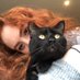 molly flanagan (@mnflanagan3) Twitter profile photo molly flanagan (@mnflanagan3) Twitter profile photo