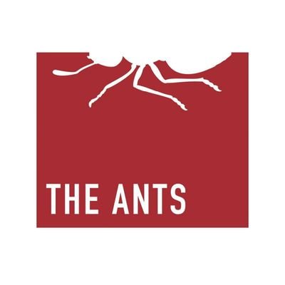 theantsofficial Profile Picture