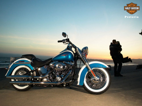 jmcnall's profile picture. Good red wine - add the bush or ocean & away we go...