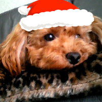 mo2 (@mo2ter) 's Twitter Profile